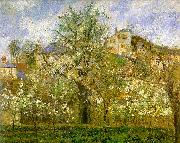 Camille Pissaro Kitchen Garden with Trees in Flower, Pontoise China oil painting reproduction